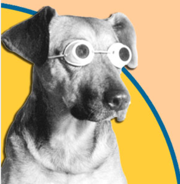 Arf Arf Records - The Legends